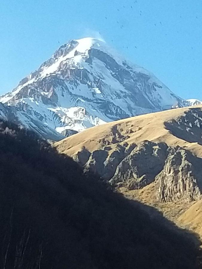 Emotion Kazbegi Lejlighed Eksteriør billede