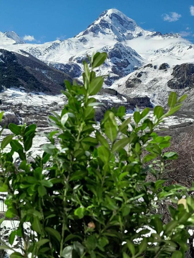 Emotion Kazbegi Lejlighed Eksteriør billede