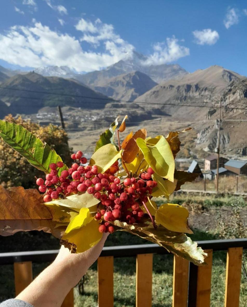 Emotion Kazbegi Lejlighed Værelse billede