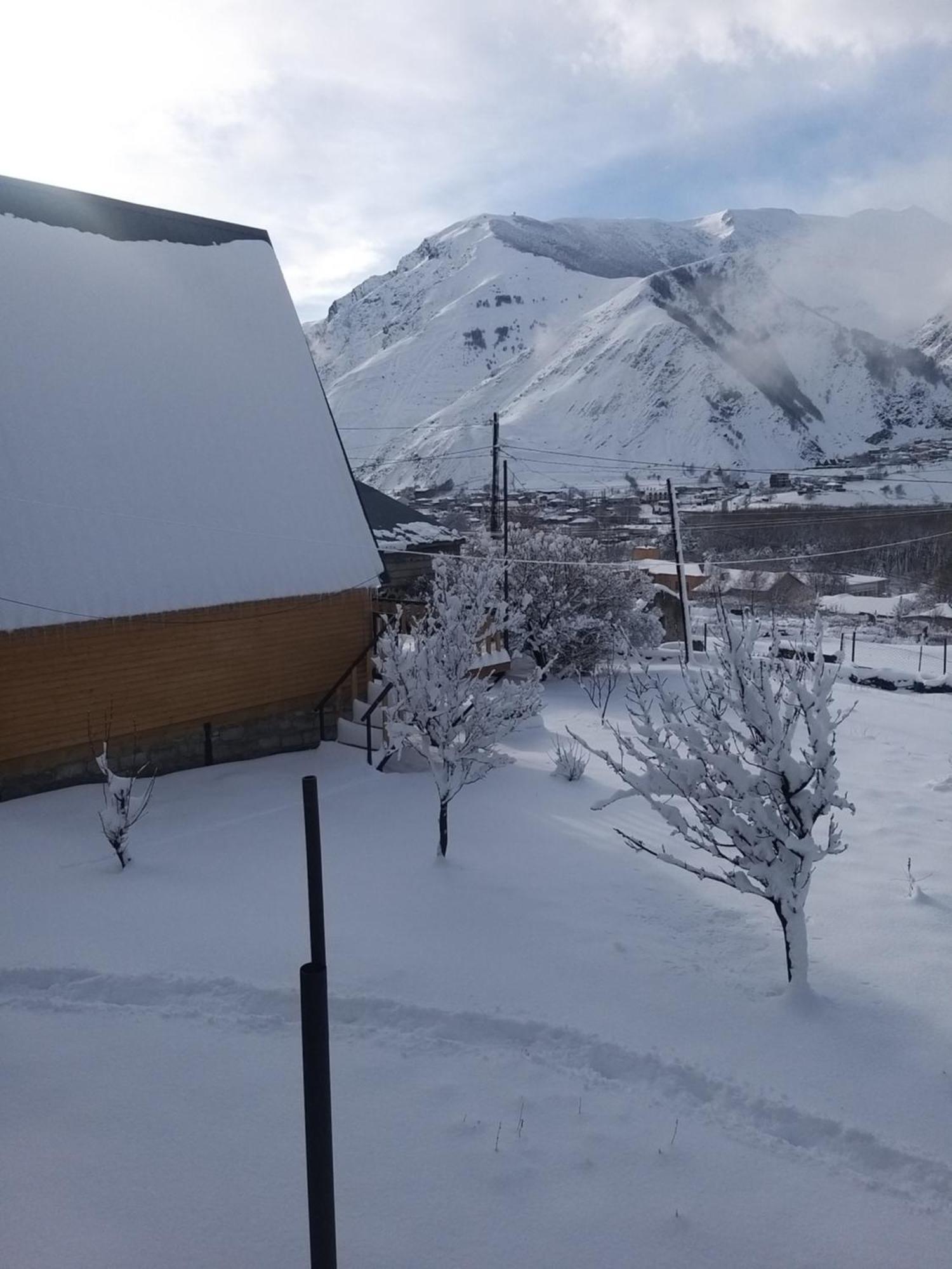 Emotion Kazbegi Lejlighed Værelse billede