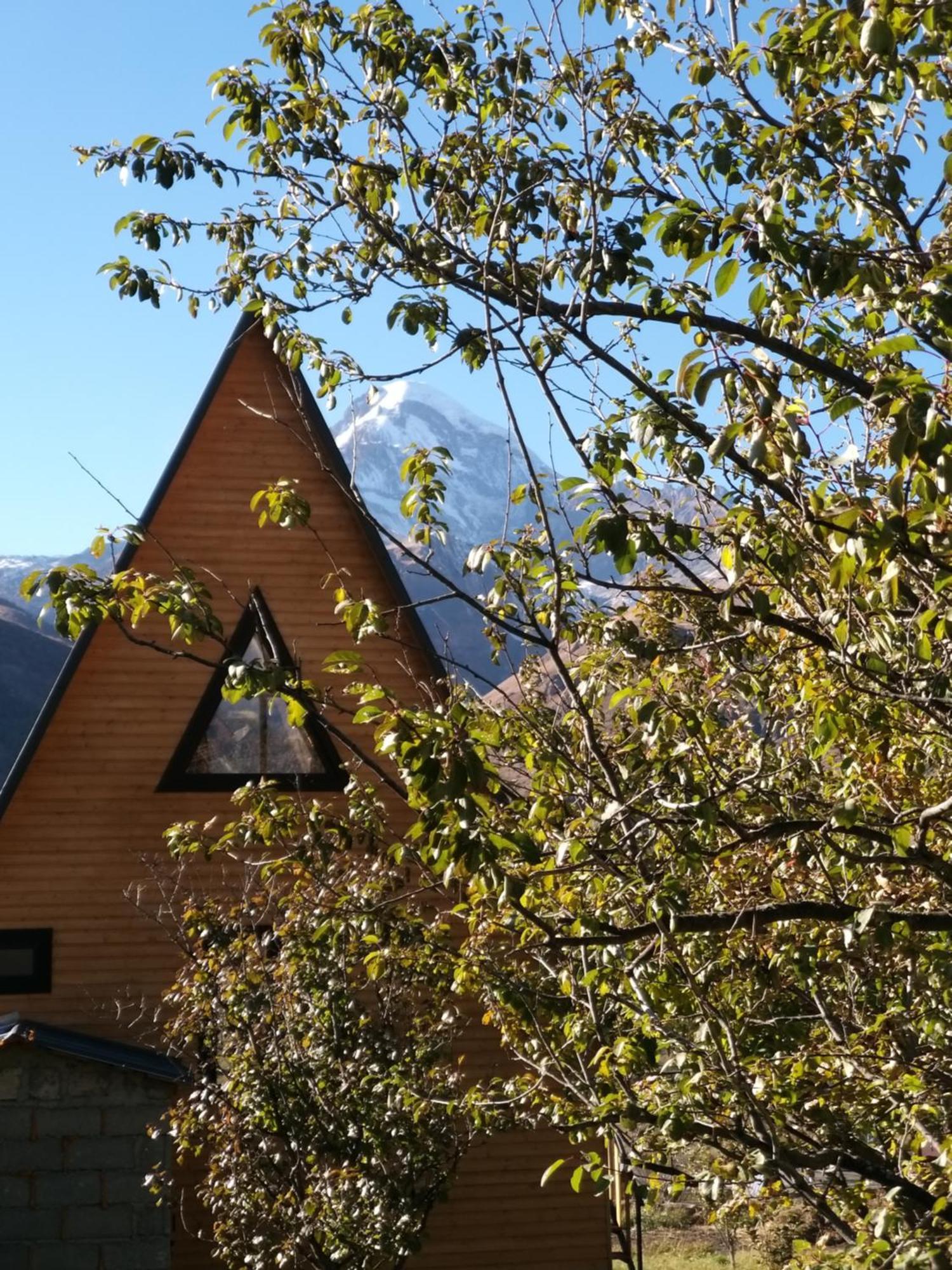 Emotion Kazbegi Lejlighed Værelse billede