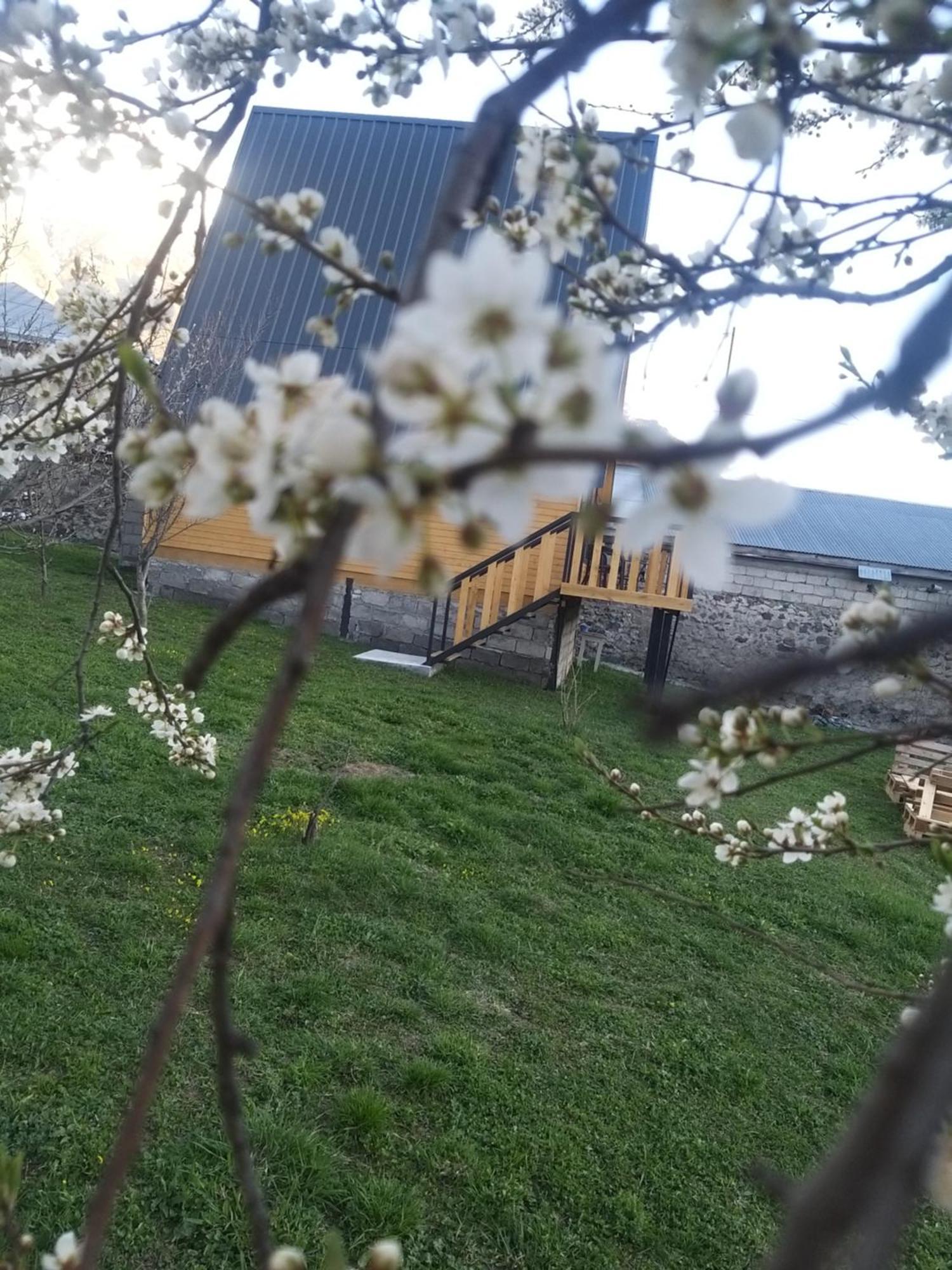 Emotion Kazbegi Lejlighed Værelse billede