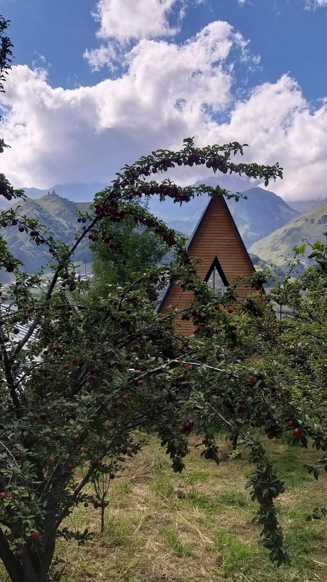 Emotion Kazbegi Lejlighed Eksteriør billede